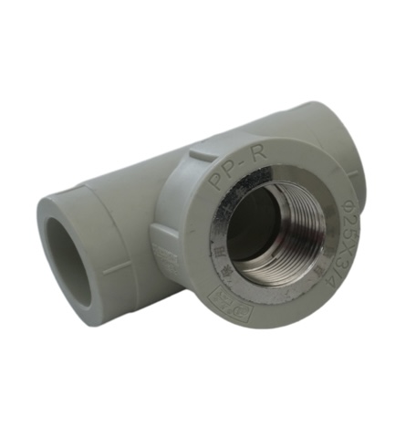 Camiseta feminina de polipropileno não tóxico